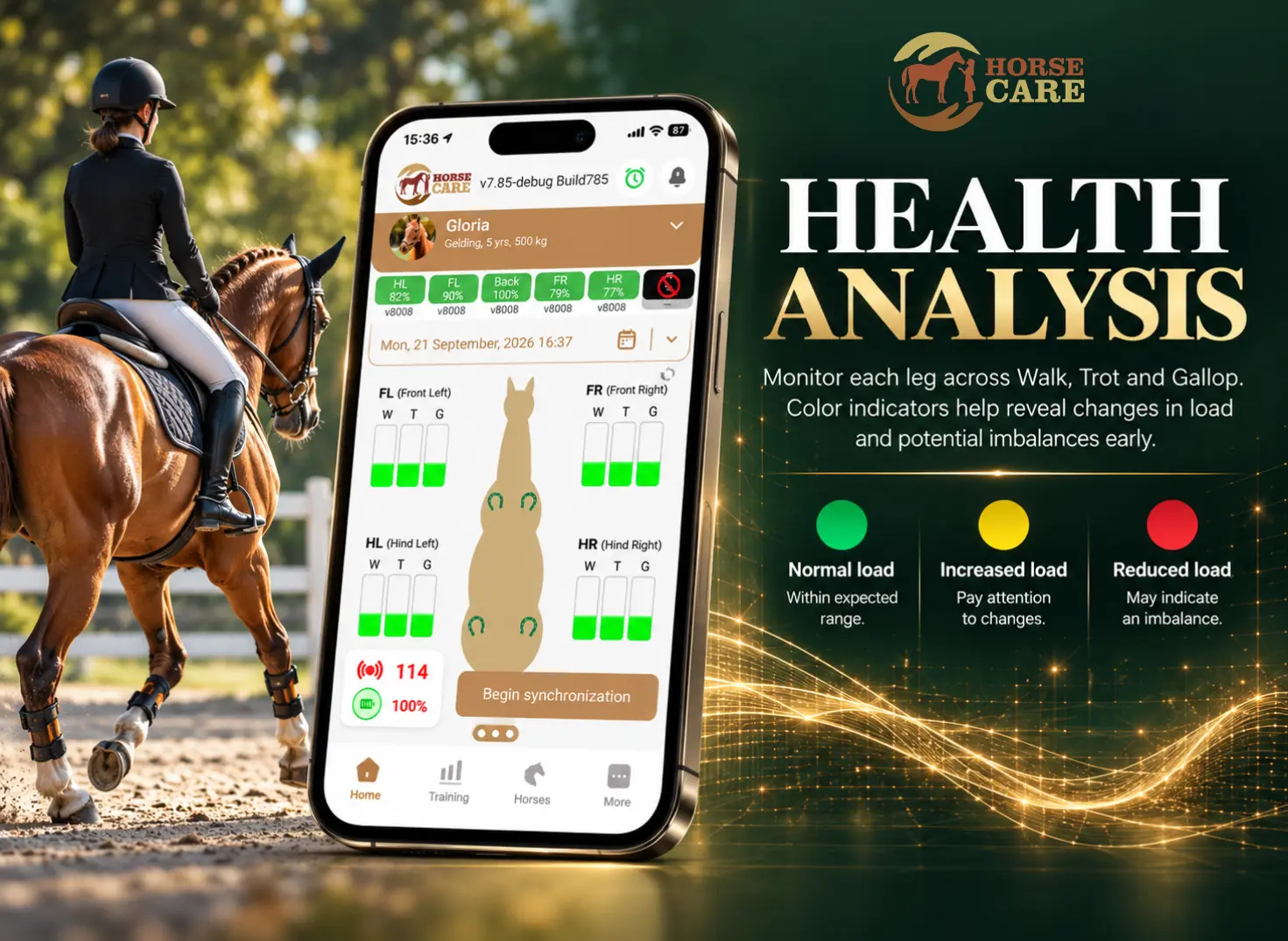 Per-leg load shown in colour in the HorseCare app