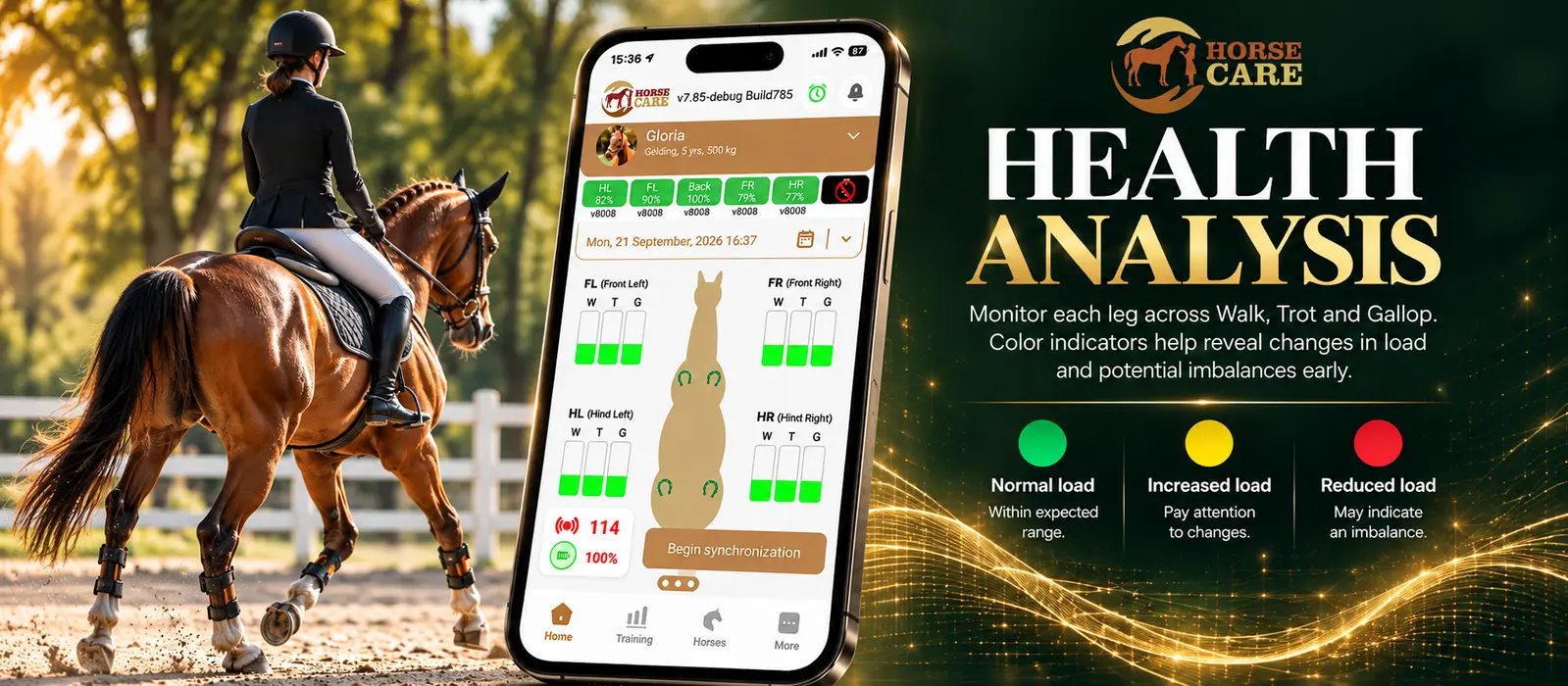 Training load and physical condition in the HorseCare app